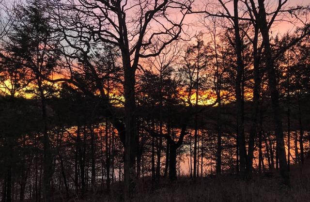 Secluded Branson Tablerock Lake Sanctuary/Mins. to Marina/lake - 20 min Branson