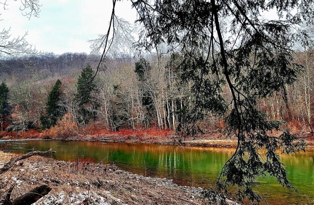 Secluded Cabin overlooking the Redbank River between Brookville & New Bethlehem