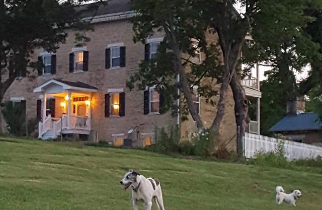 Secluded River Cabin Located on the Bourbeuse River