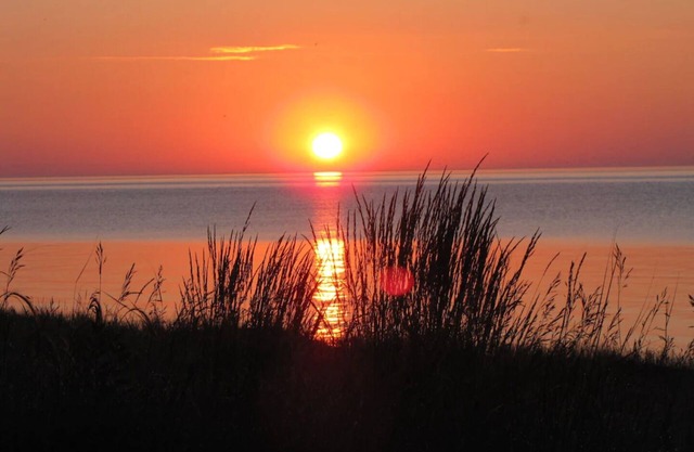 Secluded Sanctuary with Beach and Woods