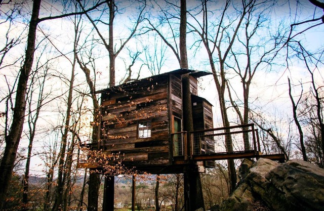 Secluded Tree House in the Forest near the Appalachian Mountains, Georgia