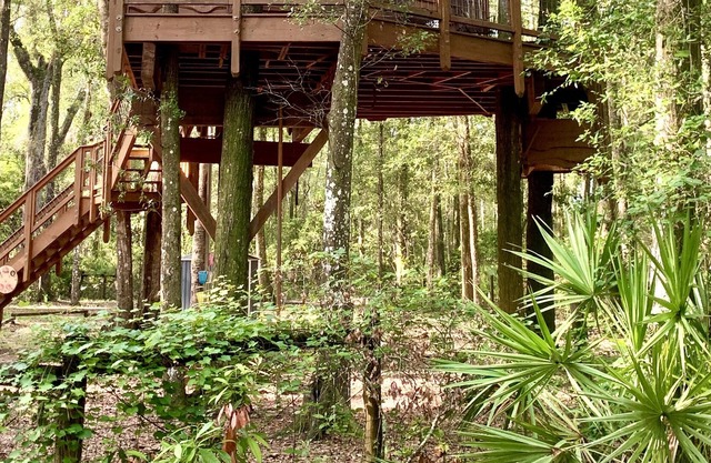 Secluded Treehouse Cabin Retreat near the Suwannee River and freshwater springs!
