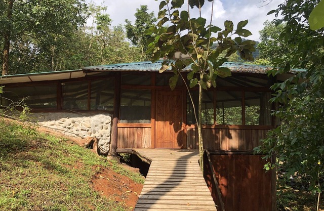 Secluded Treehouse in the the Rainforest