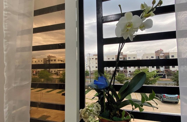 Seguridad y Tranquilidad !