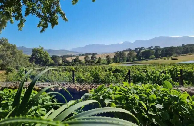 Self catering accomadation in the winelands. Mon Rêve Estate - Cottage 3