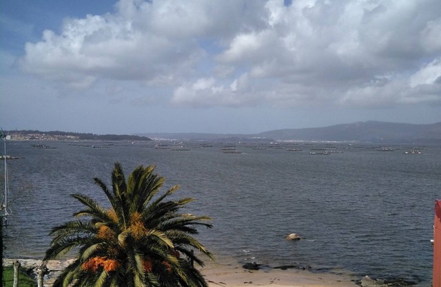 semi new apartment on the beach