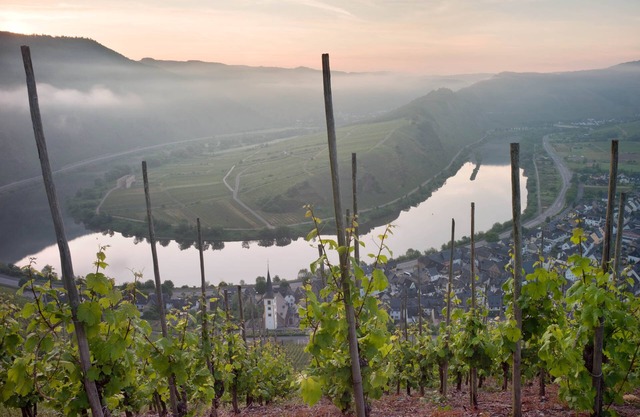 Senhalser Höfe, nut storage ✸✸✸✸✸