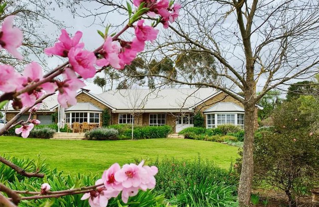 Seppeltsfield Vineyard Retreat - 3 Bedroom Holiday Home