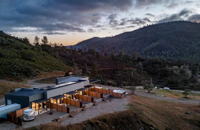 Sequoia in Horizon by Yosemite