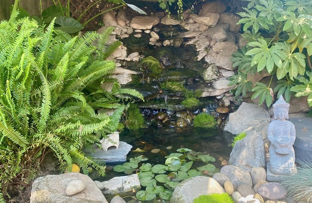 Sequoia Parks Coast Wineries Skiing-Enjoy Hot Tub Firepit Outdoor Kitchen