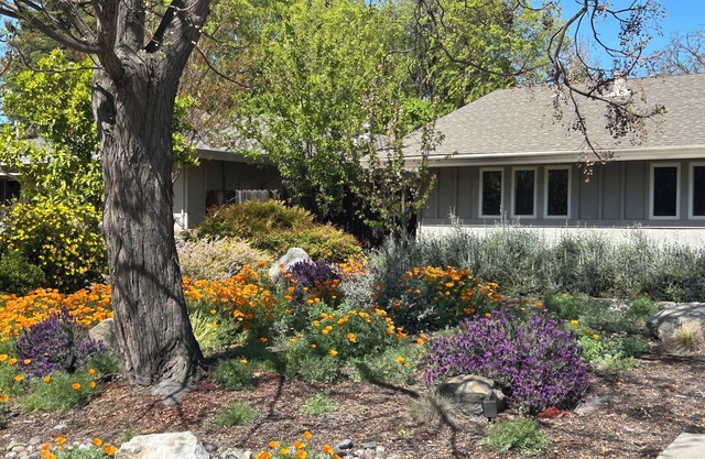 Serene 3BR Oasis in Davis: Bike-Friendly Haven Near UC Campus