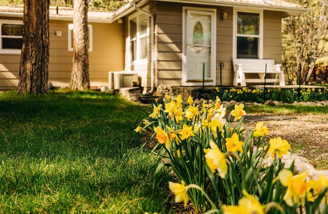 Serene Creek Side Cottage Retreat in Story Wyoming