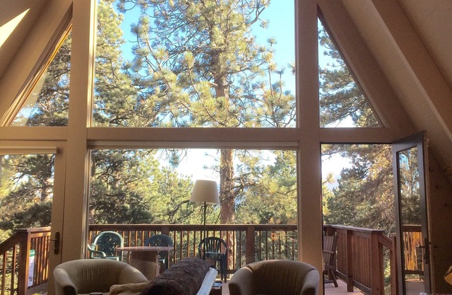 Serene Solitude mountain cabin in Allenspark
