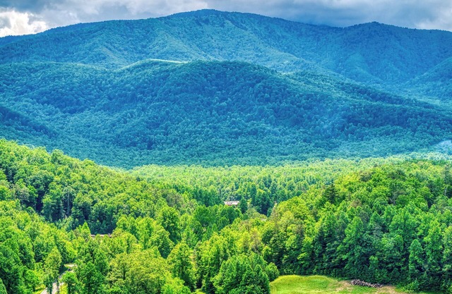 Serenity Brook- Pickleball Court, Creek, WIFI, Mountain Views, Starting at $99