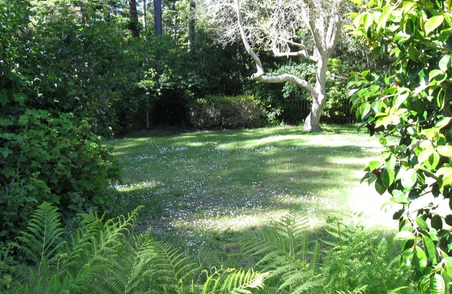 Serenity In The Gulch Only 5 Minutes From Historic Mendocino Village