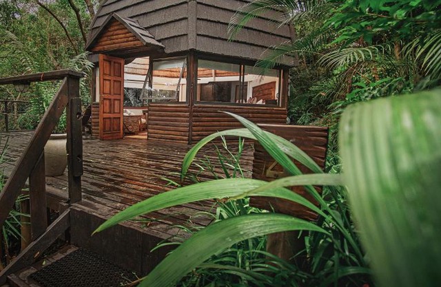 Serenity Mountain and Forest Lodge