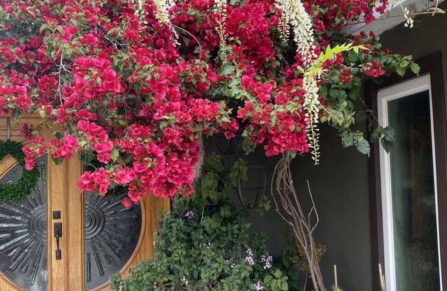 Shabby Chick Studio in the heart of OC