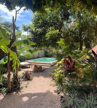 Shamalay - Nomad Experience