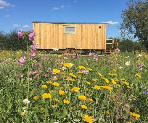 Shepherds Hut 7