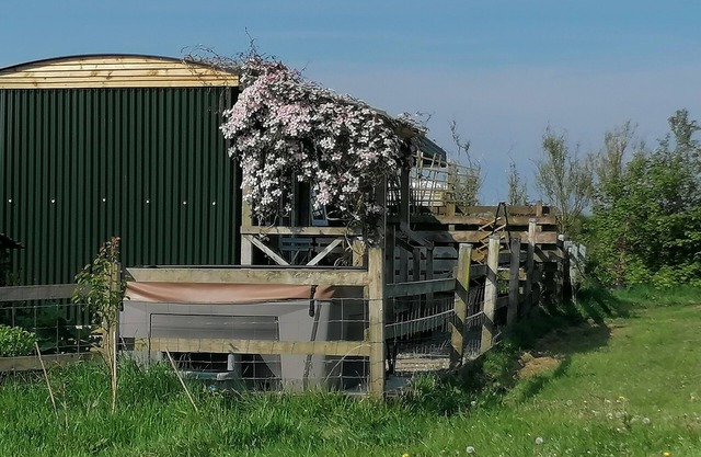 Shepherds Hut with stunning Pembrokeshire hill views
