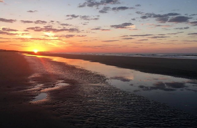 Short Walk to Beach- Close to Pier, Restaurants & Front Beach. Monthly Discounts