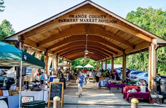 Short Walk to Downtown Historic Hillsborough UnitB