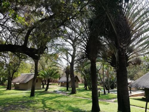 Shumba Safari Bush Camp