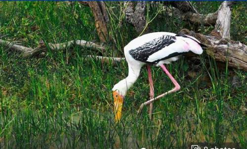 Sigiriya Moon Mirage Villa