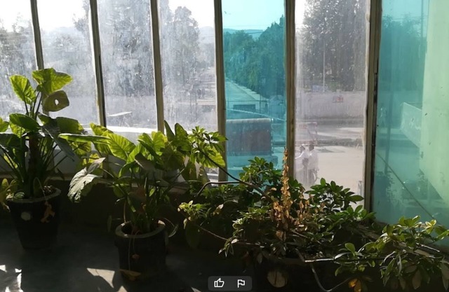 Silk Way Guest House