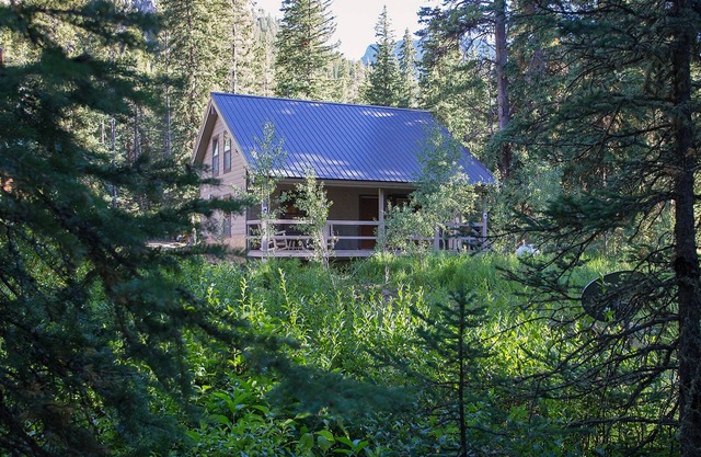 Silver Willows Ursa Cabin on 4 Acres by the Creek