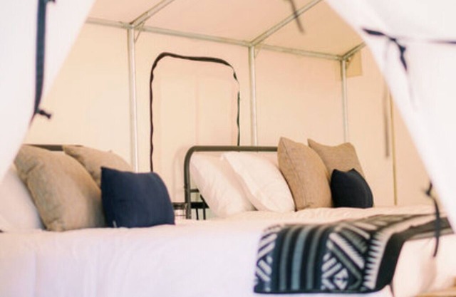 Site #36 Double Safari