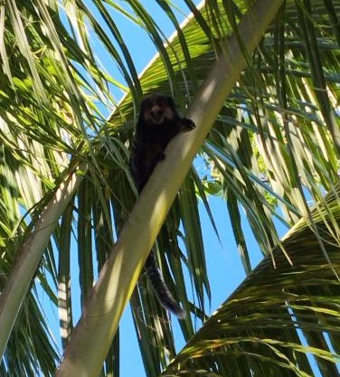 SITIO RECANTO DOS PASSAROS