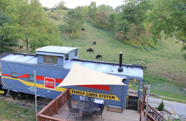Sleep in a caboose on a 65 acre buffalo ranch!