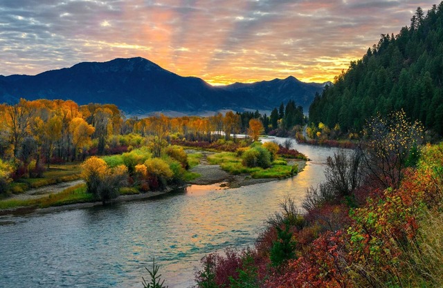 Snake River Roadhouse #3 Cutty's