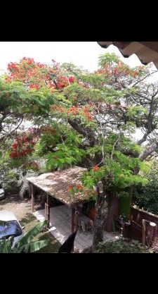 Sobrado com vista profissional do mar