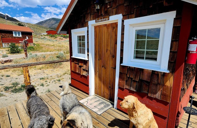 Soderberg cozy rustic cabin 5 min from Cody