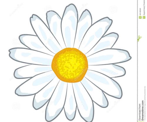 Solar da alegria (Pet friendly)