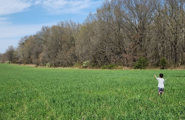 Solar eclipse in Southern Illinois! Perfect space view and privacy