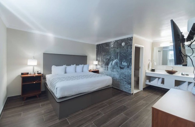 Spa Suite at Equus Inn, Free Breakfast & Parking, Pet-friendly