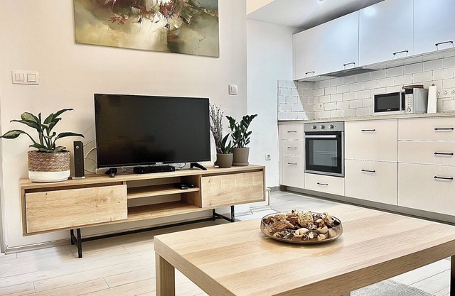 Spacious, 2-bedroom apartment in Budapest with AC & Netflix