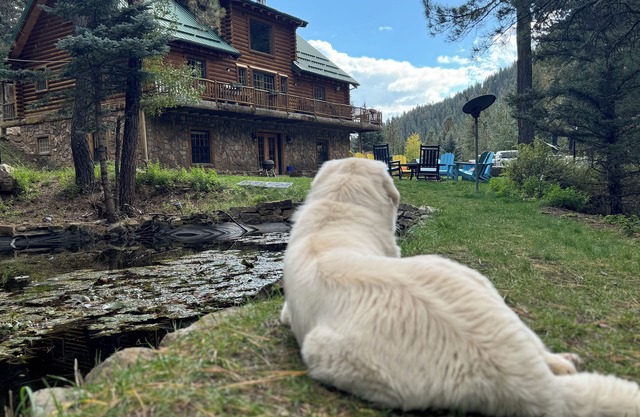 Spacious 6BR, 3 story, Mountain Lodge, Sleeps 14, Forest Views, Pecos River