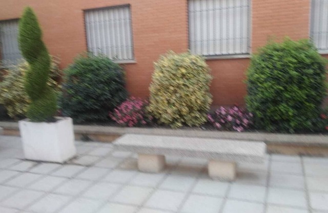 SPACIOUS AND BRIGHT APARTMENT NEAR THE CENTER