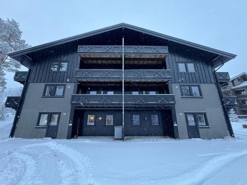 Spacious apartment near Hemsedal ski resort