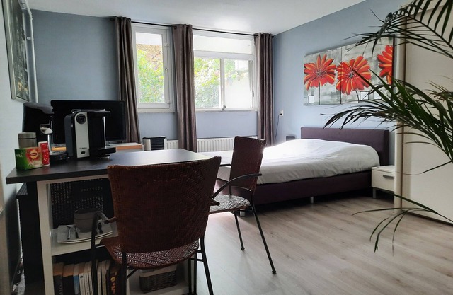 Spacious, cozy, neat room in Arnhem