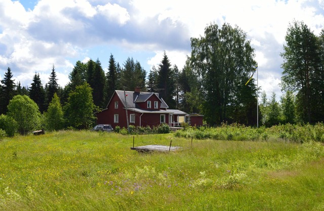 spacious house on the river, away from the traffic noise and in the middle of nature