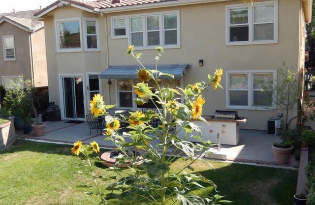 Spacious Modern Home/Big Backyard/Close to Downtown, Levis, SAP, Avaya Stadiums