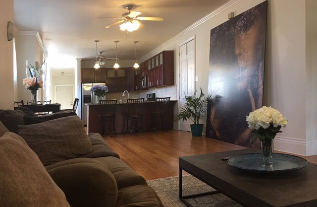 Spacious Napoleon Ave Mardi Gras Apartment