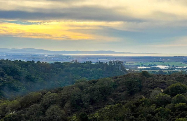 Spacious Royal Oaks Retreat w/Deck & Views!