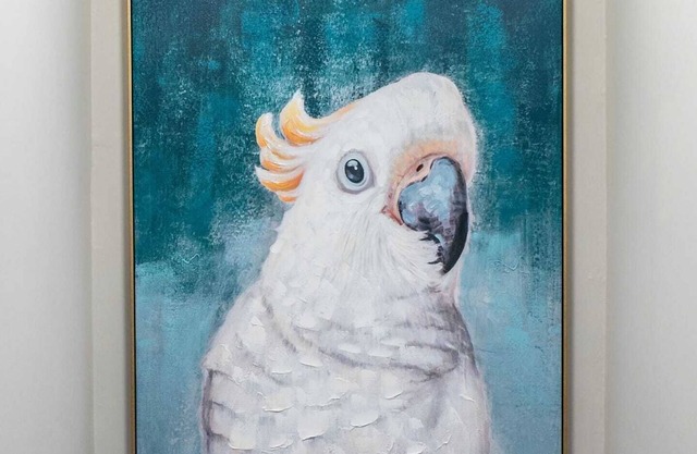 Spacious Treasure Island House With Heated Pool Located Only 2 Minutes From The Beach