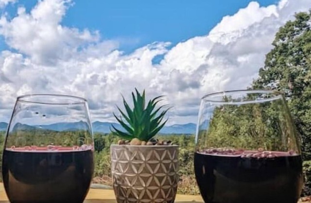 Sparrow Hawk Nest- Luxury Mountain View Tiny Home!